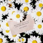 allie-smith-z7V1izmeQRQ-unsplash allie-smith-z7V1izmeQRQ-unsplash